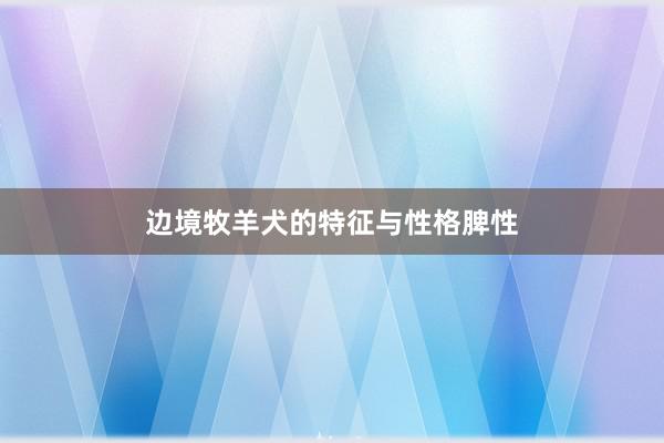 边境牧羊犬的特征与性格脾性