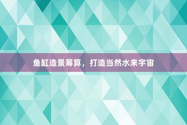鱼缸造景筹算，打造当然水来宇宙